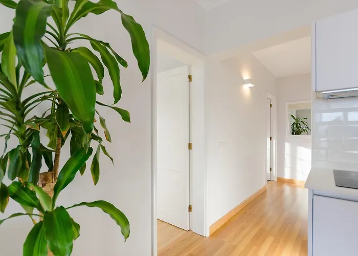 Nahia Apartment *